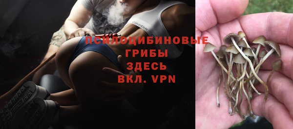 прущий лед Балабаново