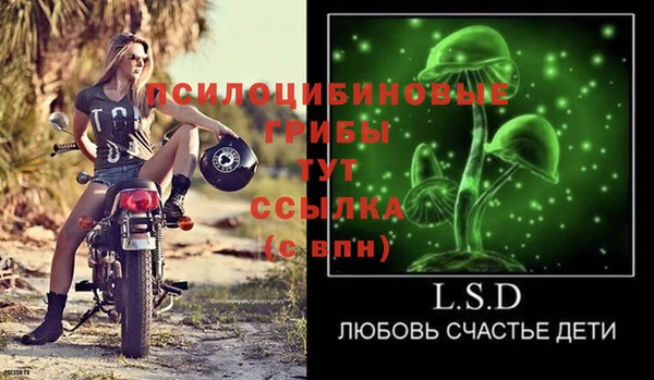 метадон Снежногорск