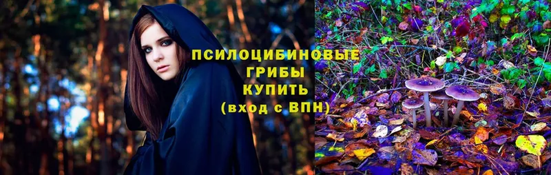 Галлюциногенные грибы Magic Shrooms  Верхний Тагил 